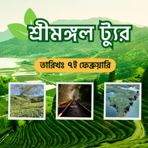 চায়ের দেশ শ্রীমঙ্গলে ডে-নাইট ট্যুর